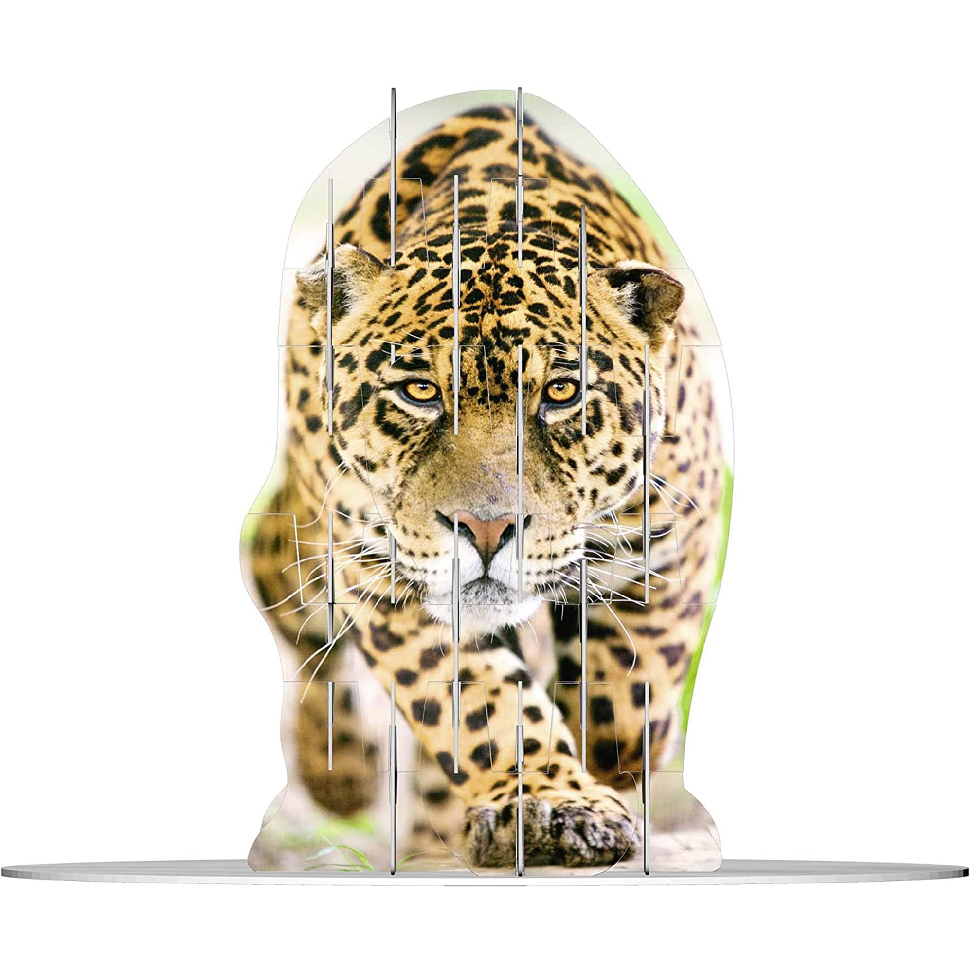Puzzle 3D Ravensburger 4 immagini vision wild cats 37 pezzi 2749