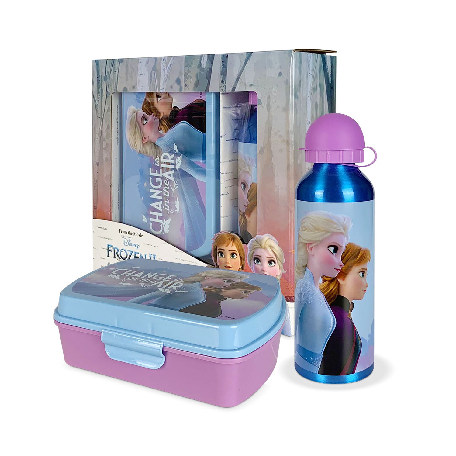 Set pranzo 2 pezzi Disney Frozen Elsa e Anna borraccia 500ml portapran
