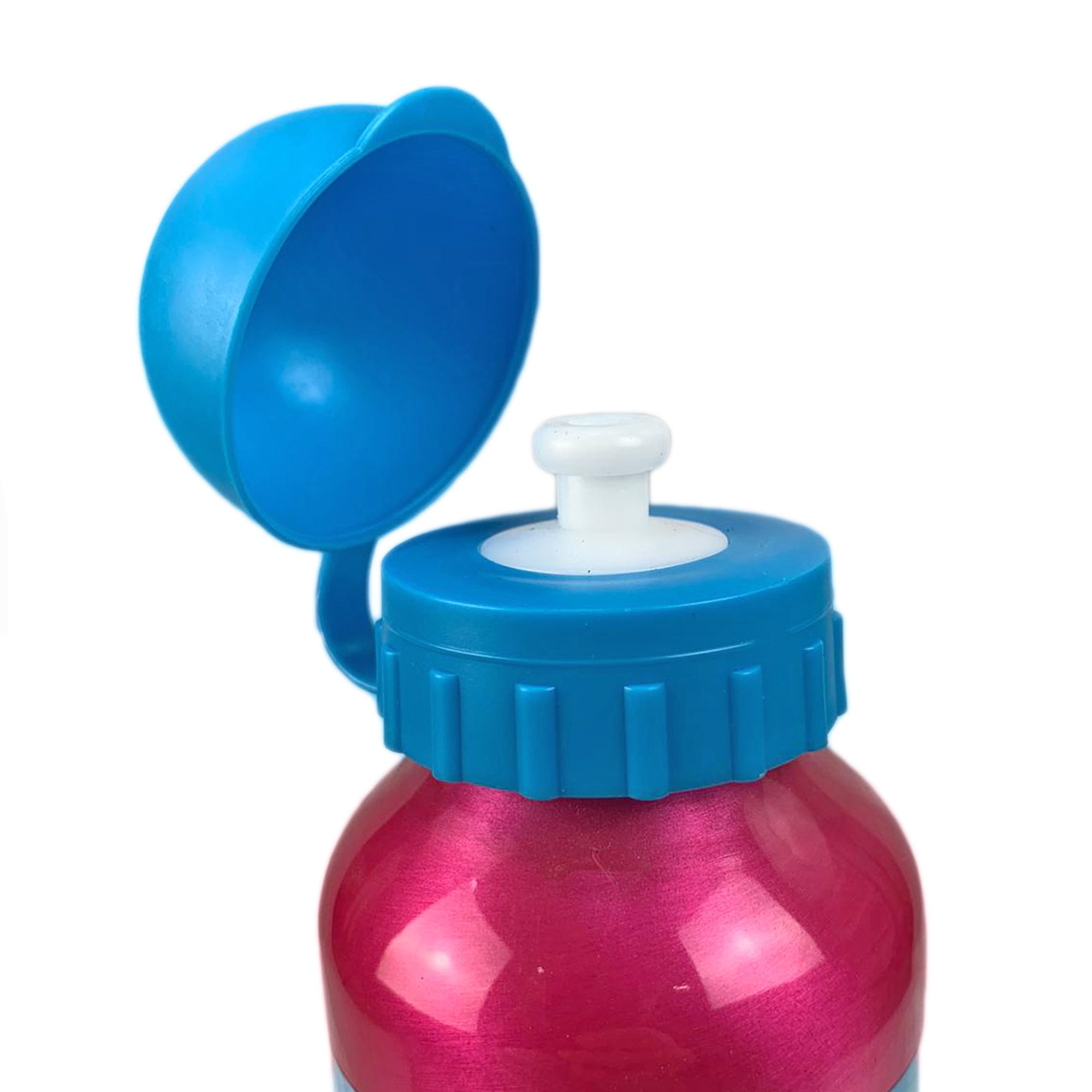 Borraccia Disney Frozen bottiglia in allumino con beccuccio 400 ml 162