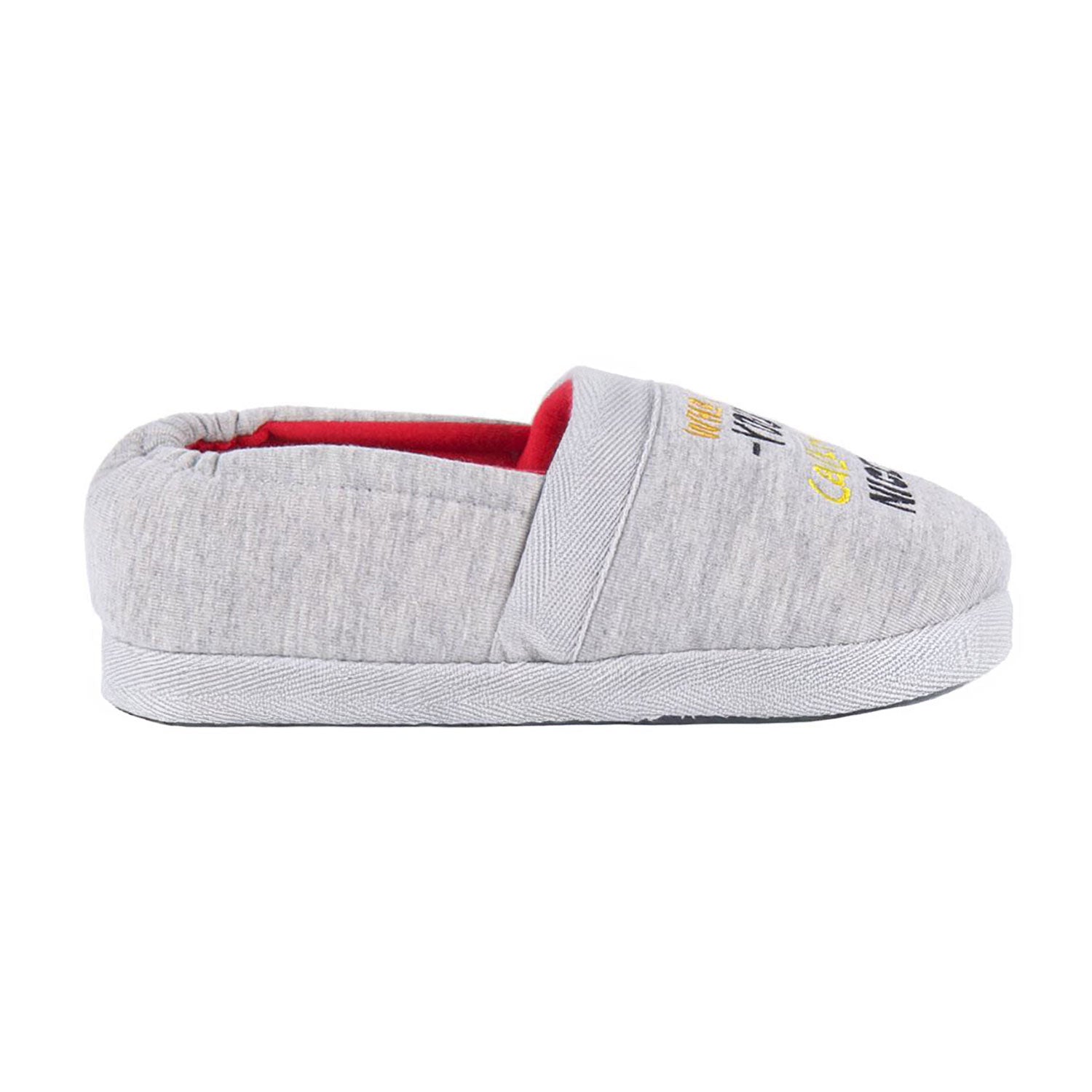Pantofole invernali chiuse Looney Tunes antiscivolo bambino Tazmania 5556