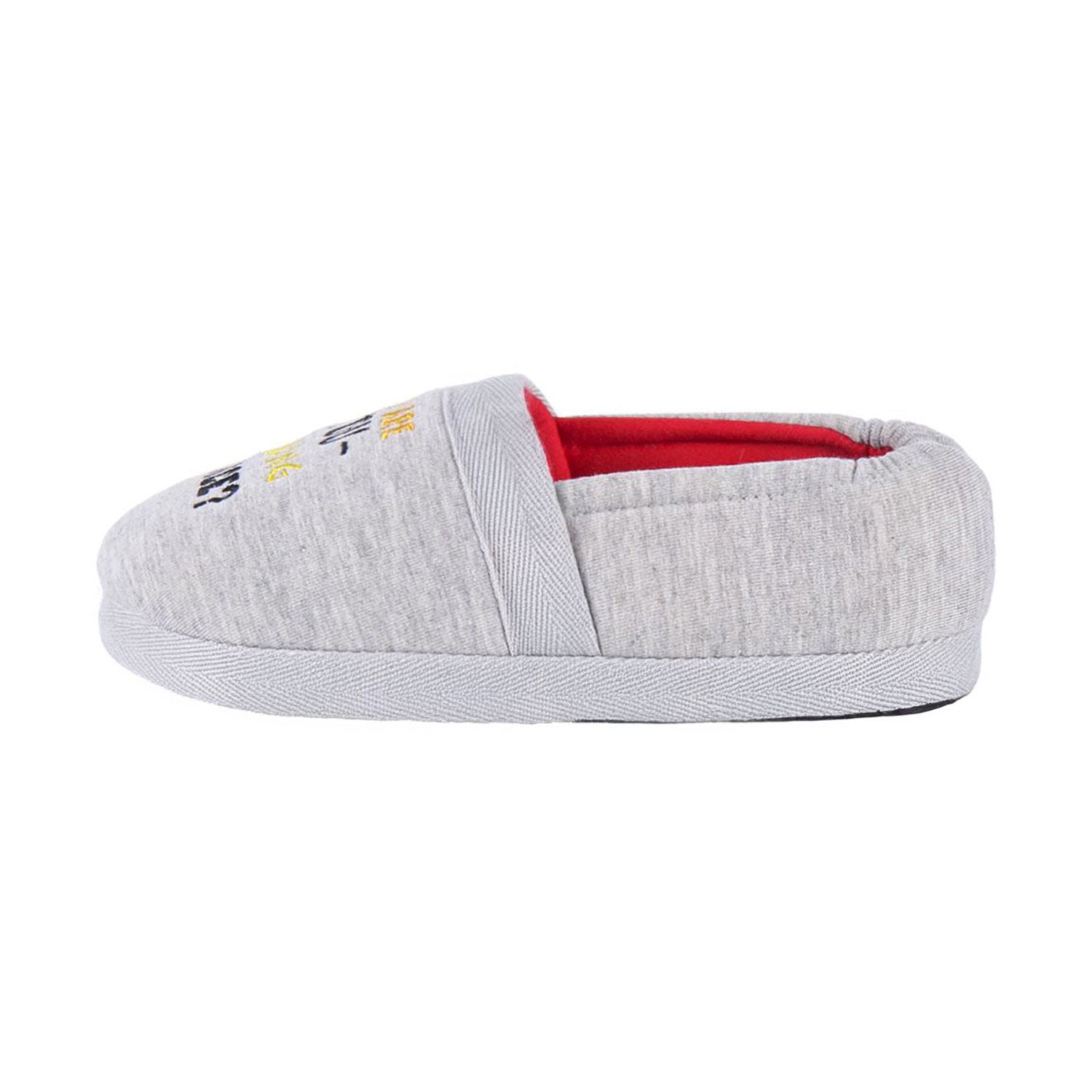 Pantofole invernali chiuse Looney Tunes antiscivolo bambino Tazmania 5556