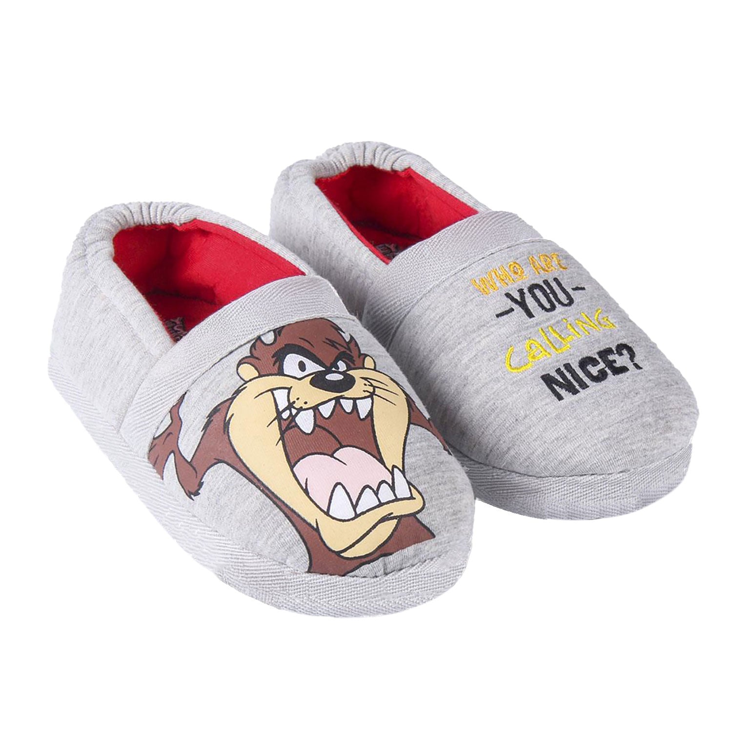 Pantofole invernali chiuse Looney Tunes antiscivolo bambino Tazmania 5556